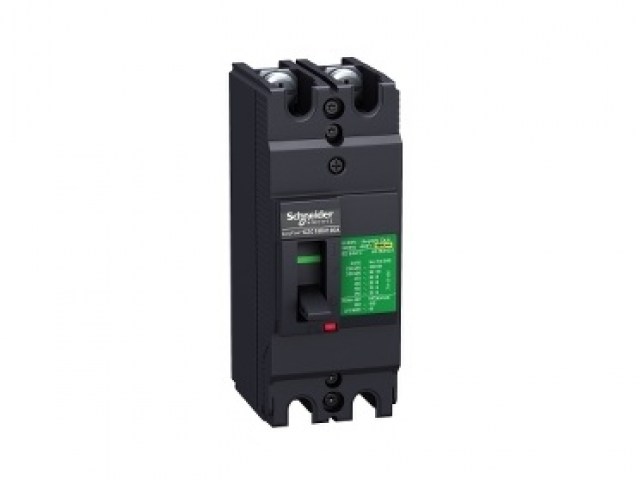 MCCB 2P EZC100H2060 easypact ezc schneider 